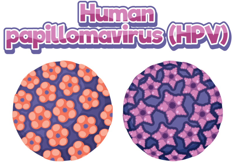 Kỹ thuật xét nghiệm HPV Real-Time PCR trong chẩn đoán ung thư cổ tử cung