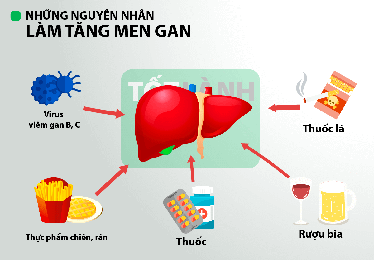 Những điều cần biết về men gan cao