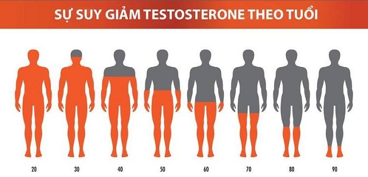 vai-tro-cua-testosterone-la-gi-anh-huong-den-suc-khoe-nam-gioi-nhu-the-nao-3