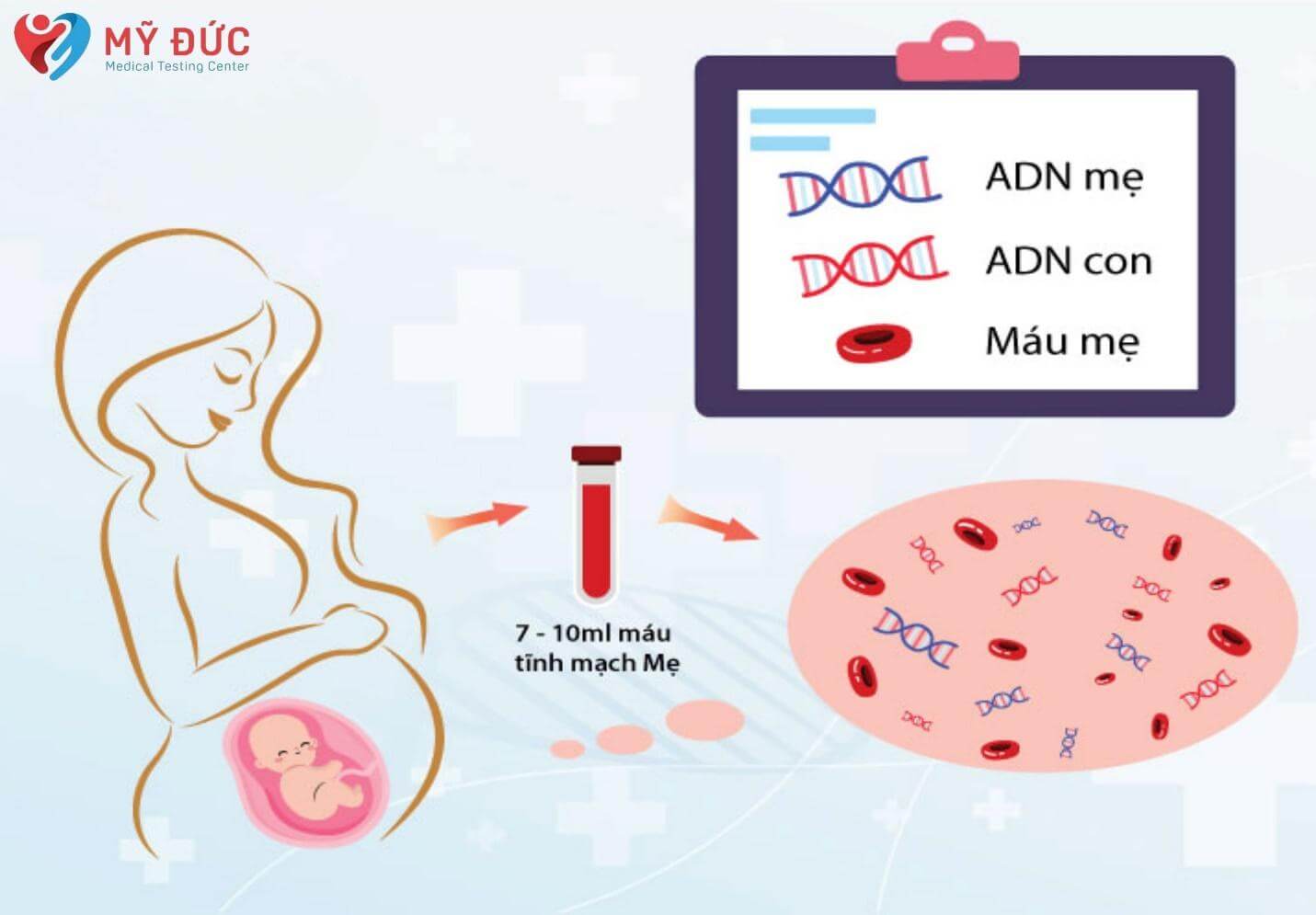 Xét nghiệm ADN thai nhi là gì?