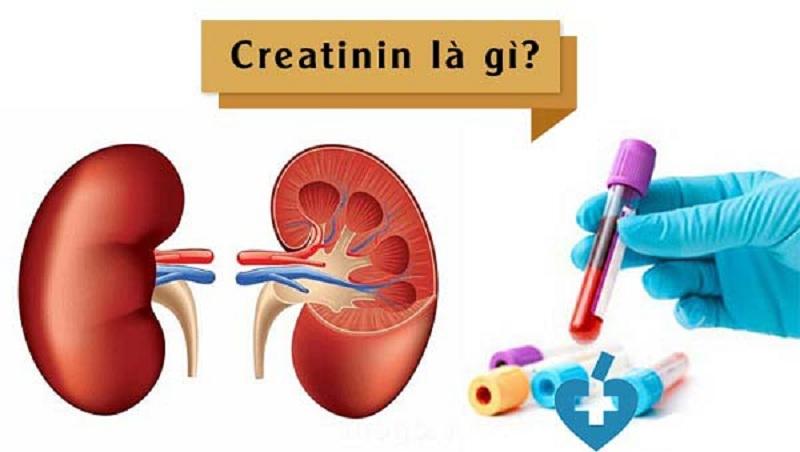 Xét nghiệm Creatinin - Tầm soát chức năng thận