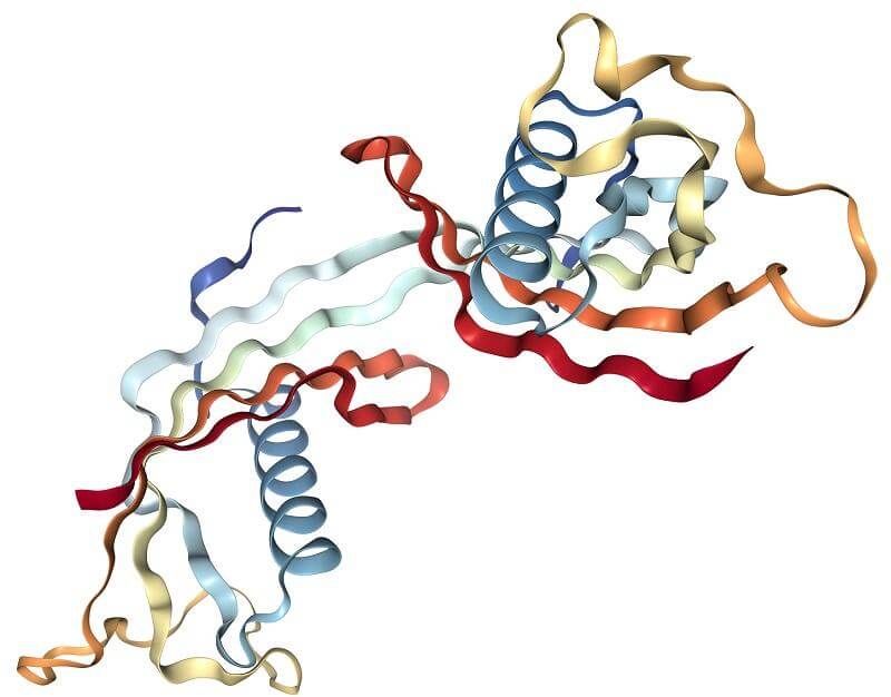xet-nghiem-cystatin-c-trong-chan-doan-benh-than