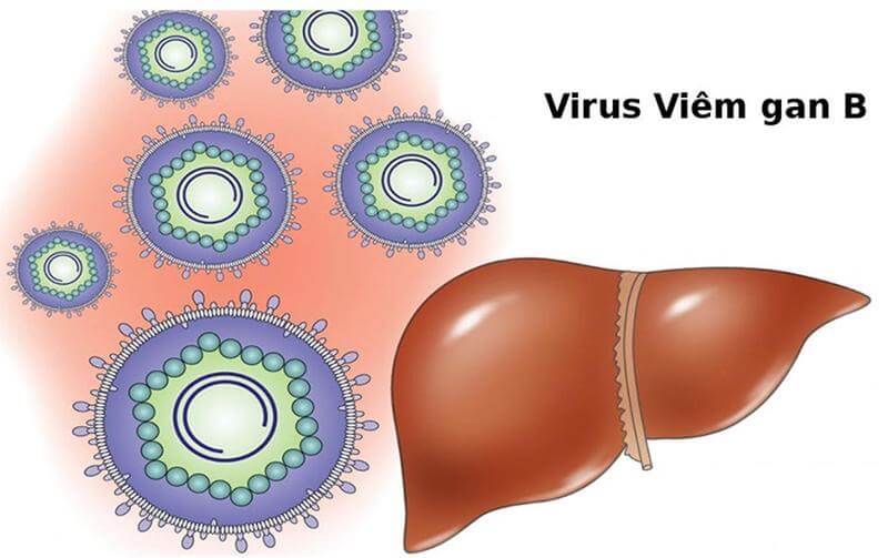 xet-nghiem-d-dimer-la-gi-y-nghia-va-cach-doc-ket-qua-3