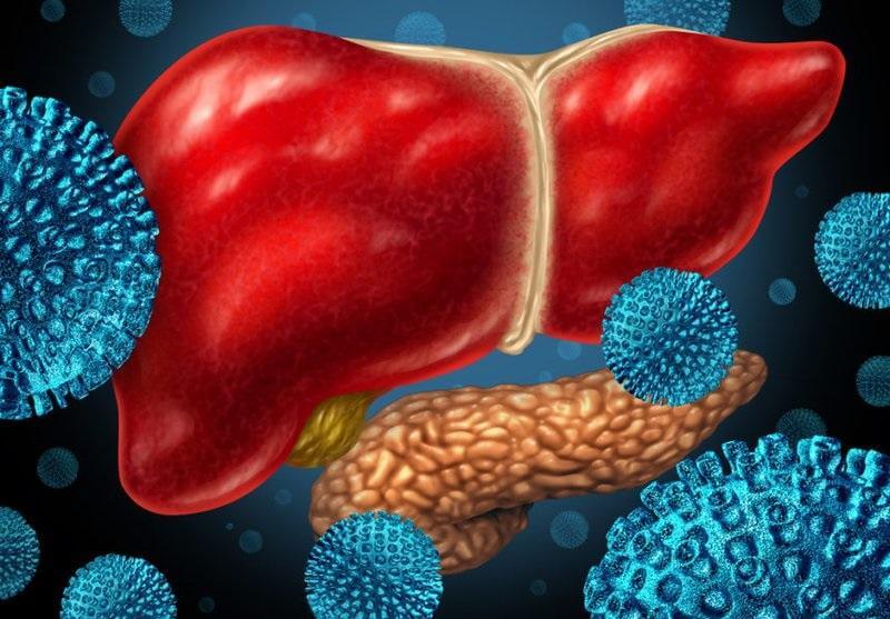 Xét nghiệm định lượng HCV-RNA trong chẩn đoán và điều trị bệnh viêm gan C