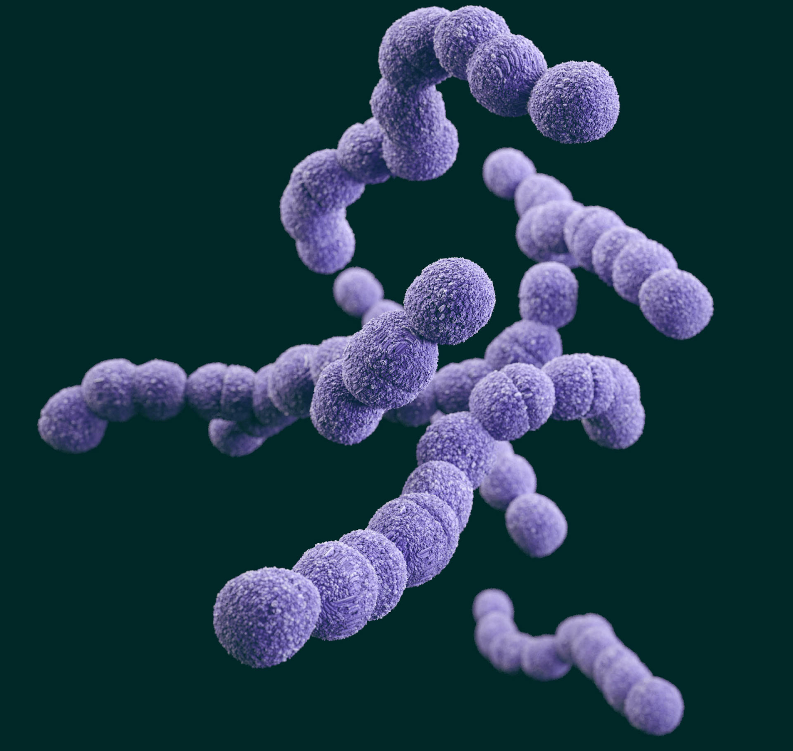 xet-nghiem-gbs-lien-cau-khuan-nhom-b-realtime-pcr-hien-dai