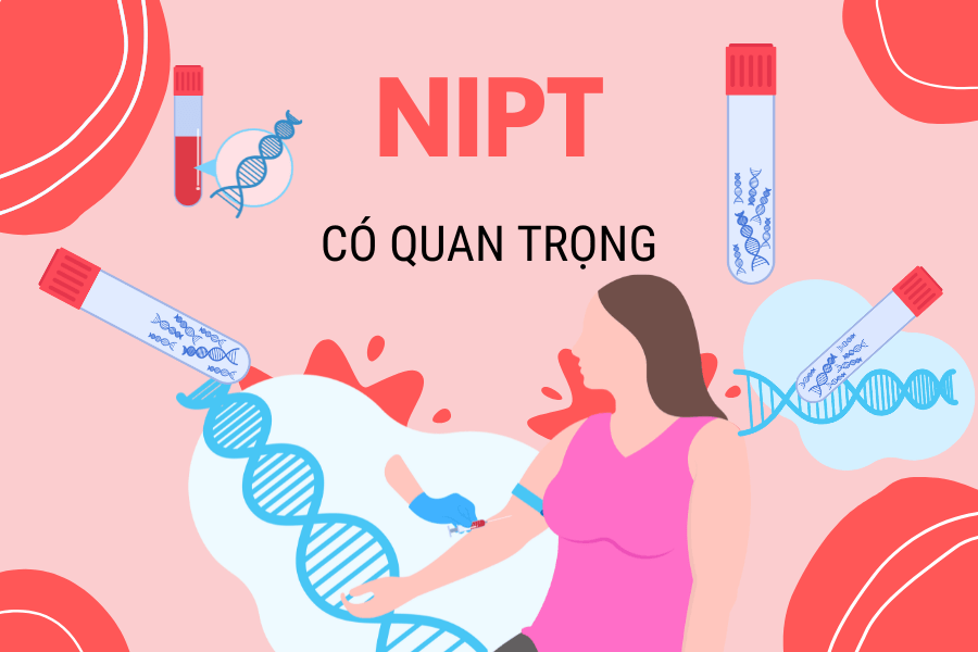 Xét nghiệm sàng lọc trước sinh NIPT - Precare 3 là gì?